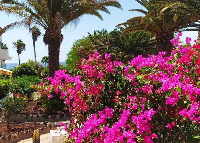 Virgo 552 Double Terrace - Double Oceanview - Tenerife